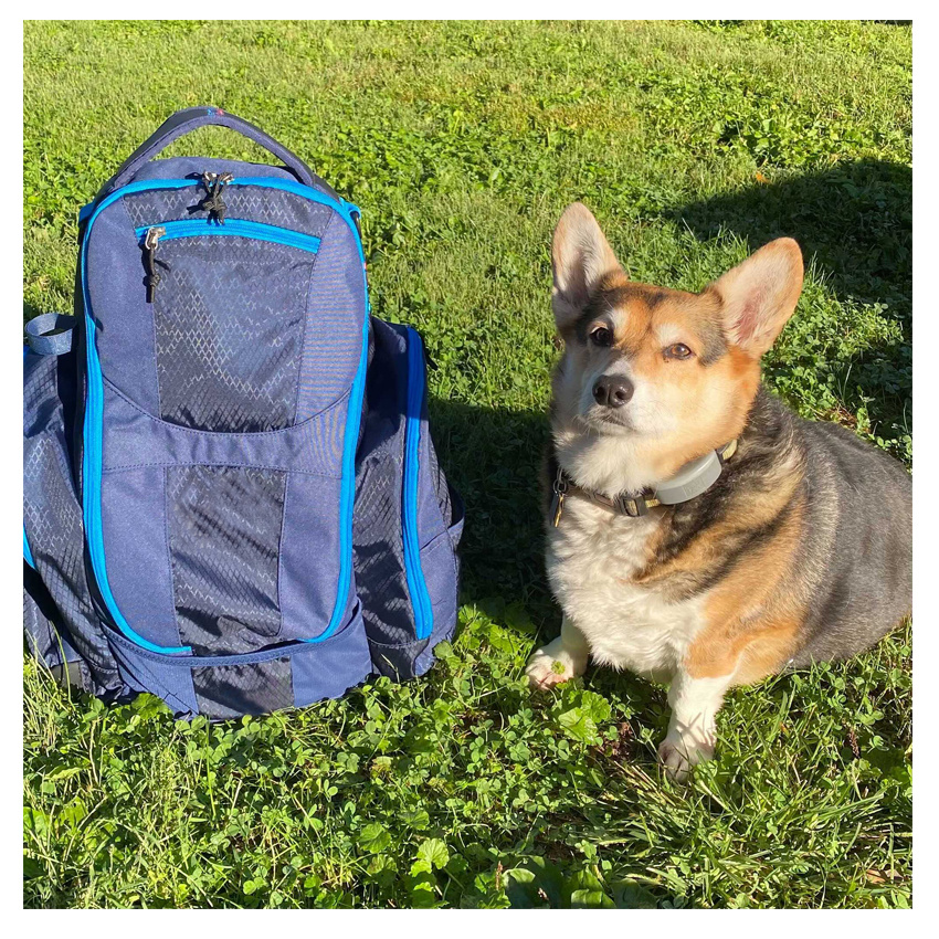 Классическая спортивная сумка для диск-гольфа Extra Large Storage Легкий рюкзак для фрисби